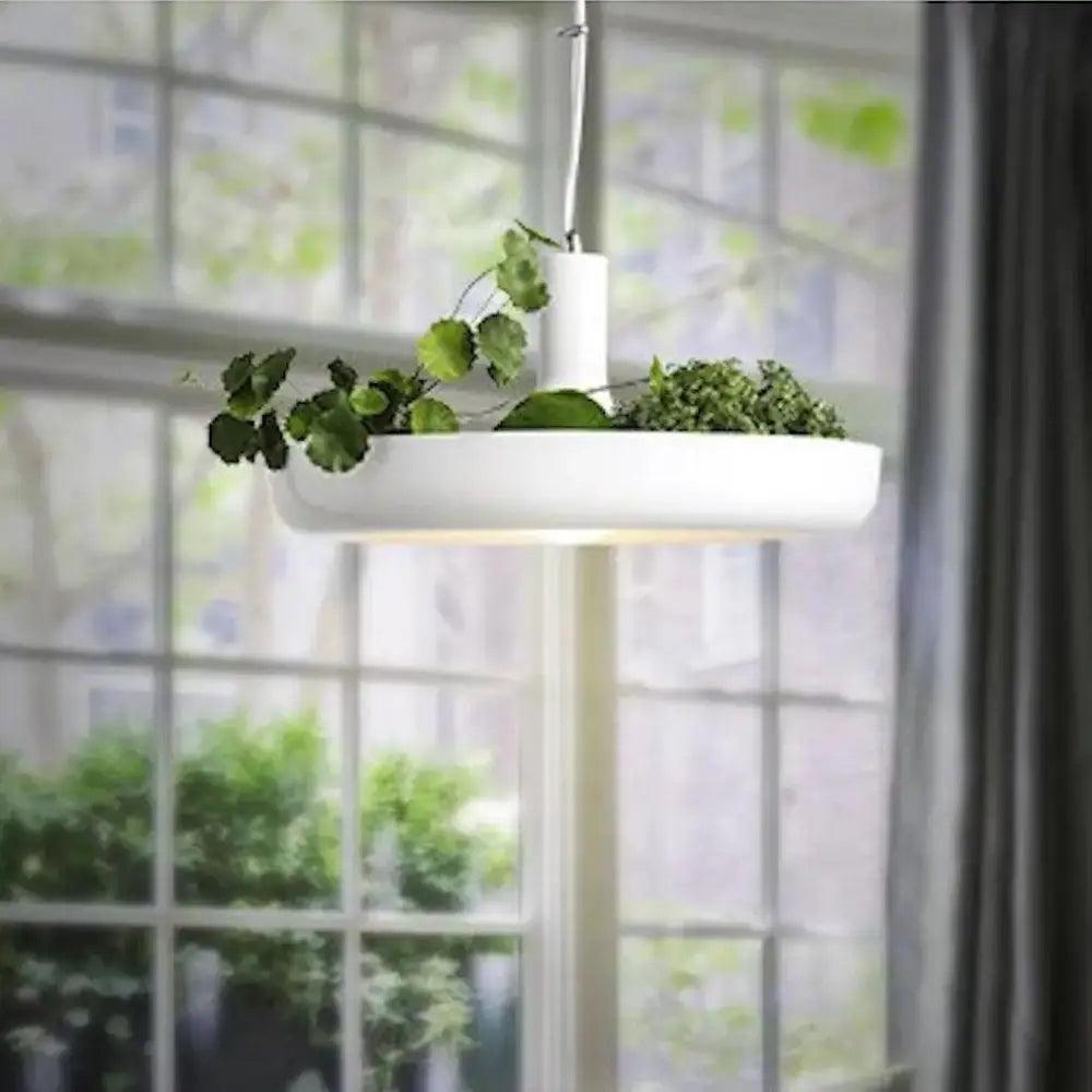 White Planter Pendant Light