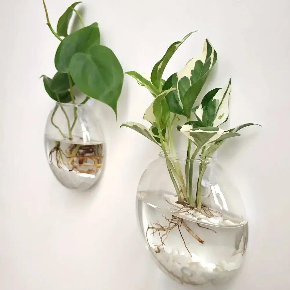Glass Wall Terrarium Set