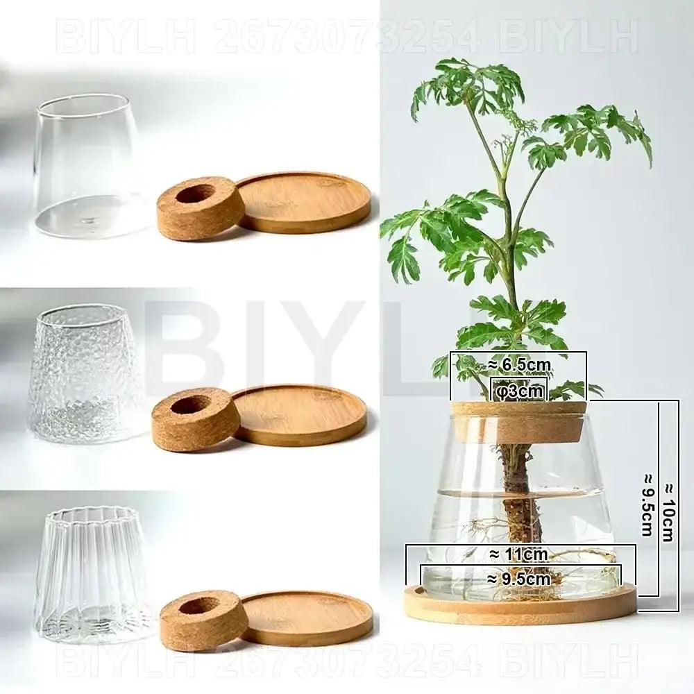 Glass Bamboo Base Vase