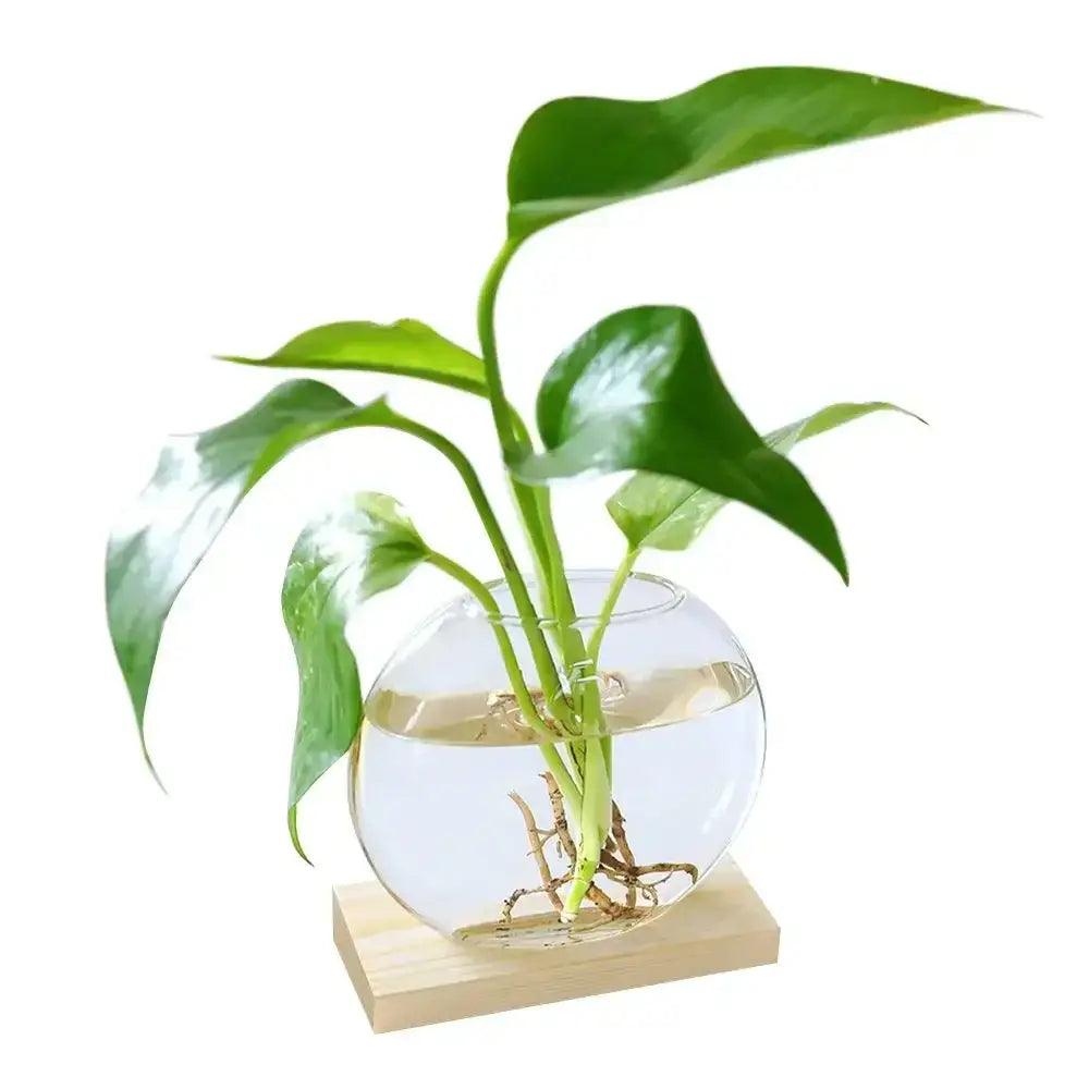 Transparent Glass Trio Vases