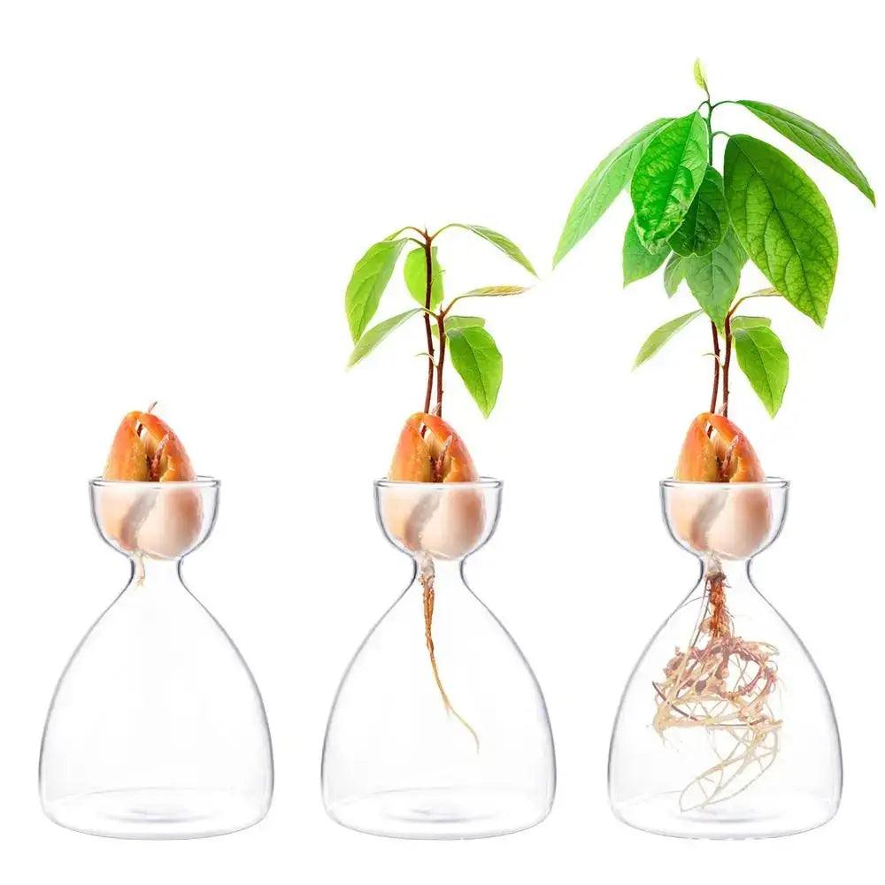 Transparent Glass Trio Vases