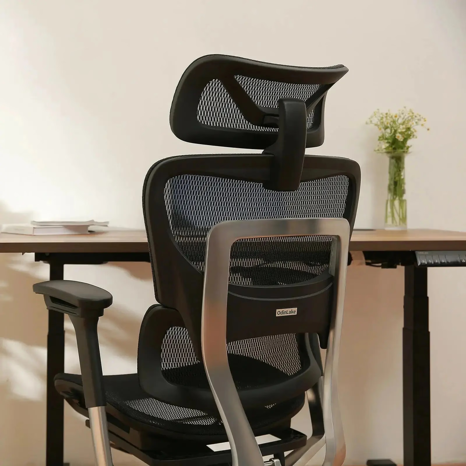 OdinLake O1 (Ergo PLUS 743) | Flex Mesh Ergonomic Chair