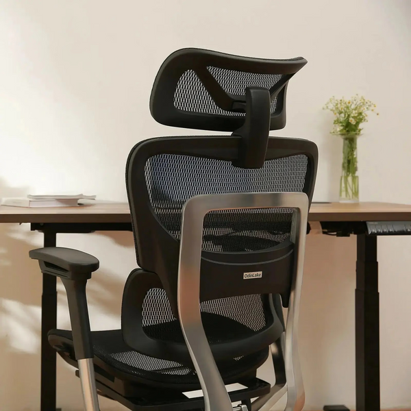 OdinLake O1 (Ergo PLUS 743) | Flex Mesh Ergonomic Chair