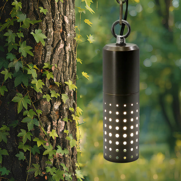 Die-Cast Brass Hollowed Out Hanging Light Modern with 1 Meter Chain