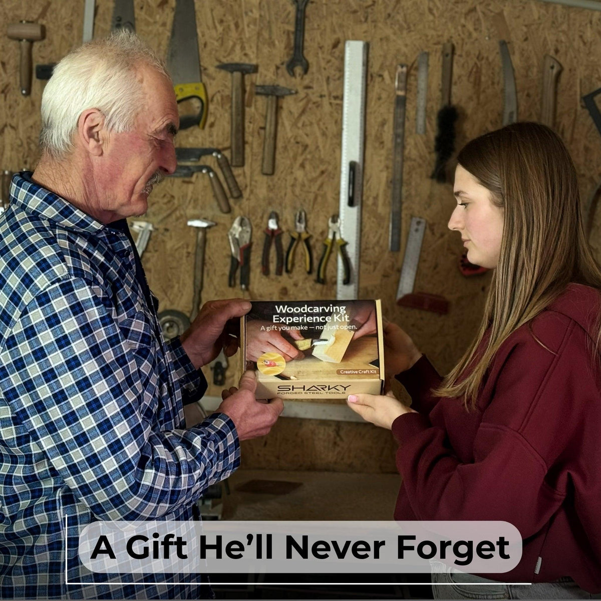DIY Bird Wood Carving & Painting Kit