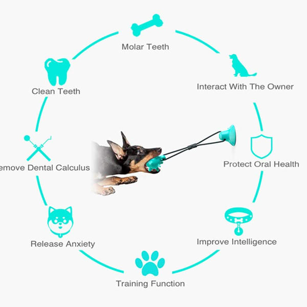 Dog Toys Silicon Suction Cup