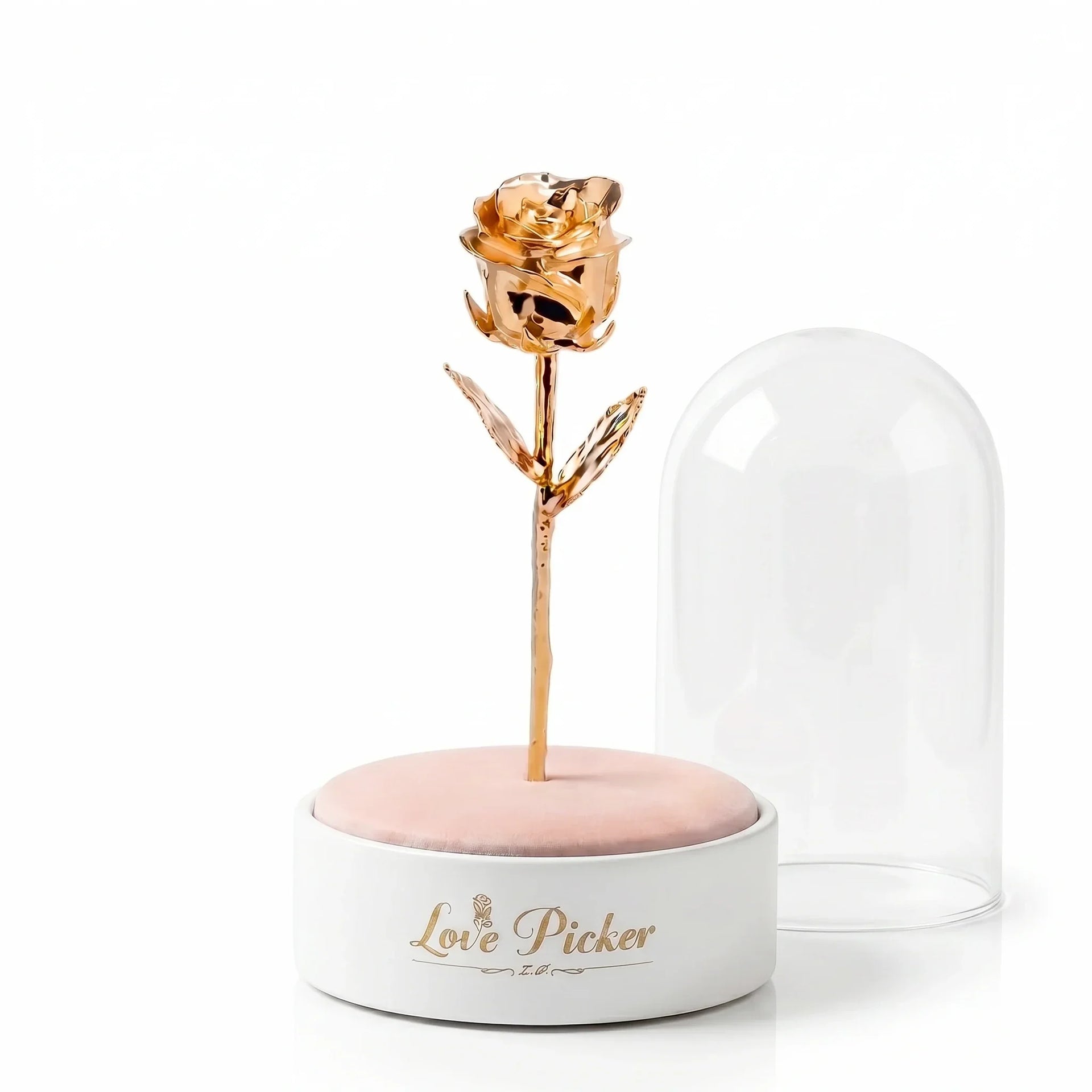 Signature Clear 7” Rose Dome