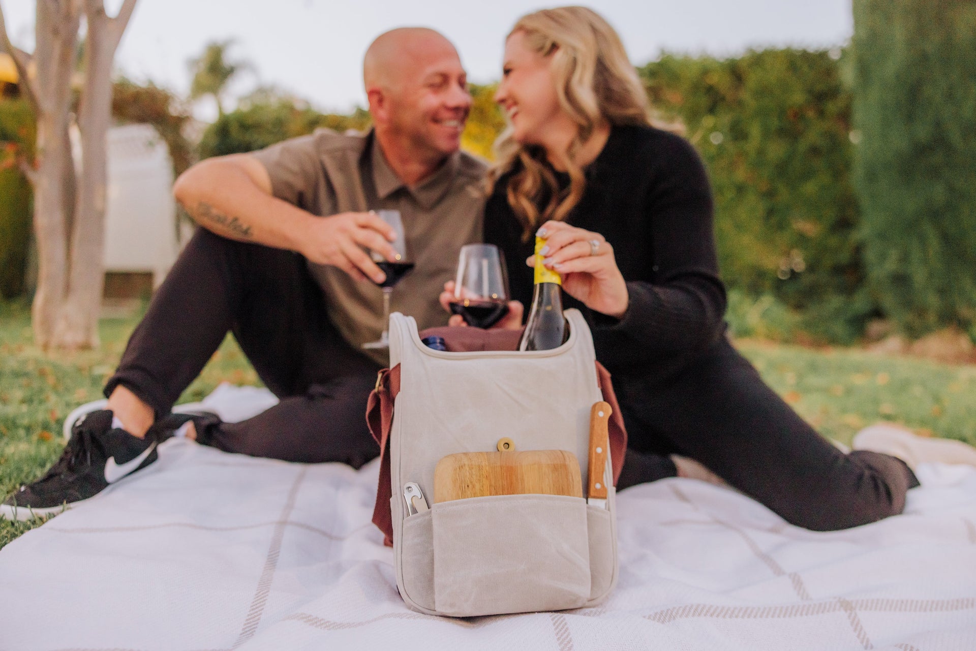2 Bottle Insulated Wine & Cheese Cooler Tote Picnic Time Family of Brands
