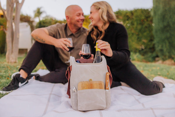 2 Bottle Insulated Wine & Cheese Cooler Tote Picnic Time Family of Brands