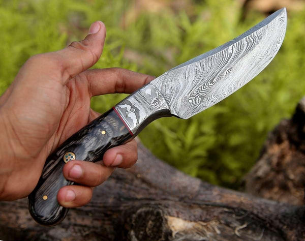 Draco Hunting Knife with Pakkawood Handle - Gifts for You 'n Me