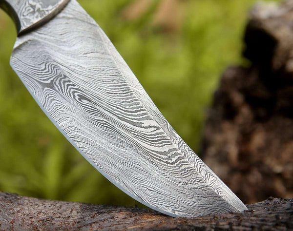 Draco Hunting Knife with Pakkawood Handle - Gifts for You 'n Me