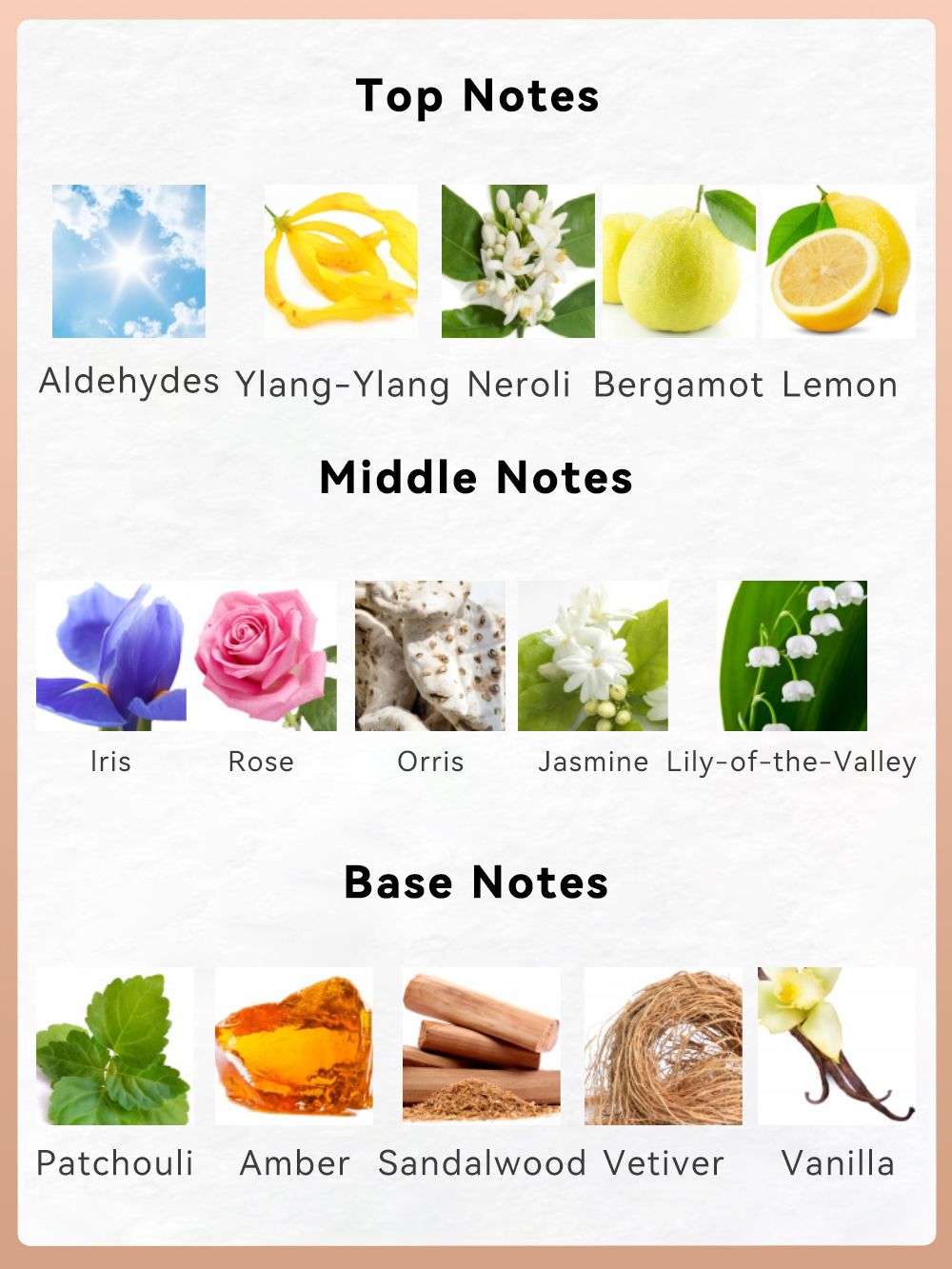 2-piece set, women's perfume spray and body lotion gift box, lasting fragrance, aldehydes, jasmine, ylang, orange blossom, bergamot, lemon flavor, very suitable for holiday gifts, dates, parties Berry Charmz