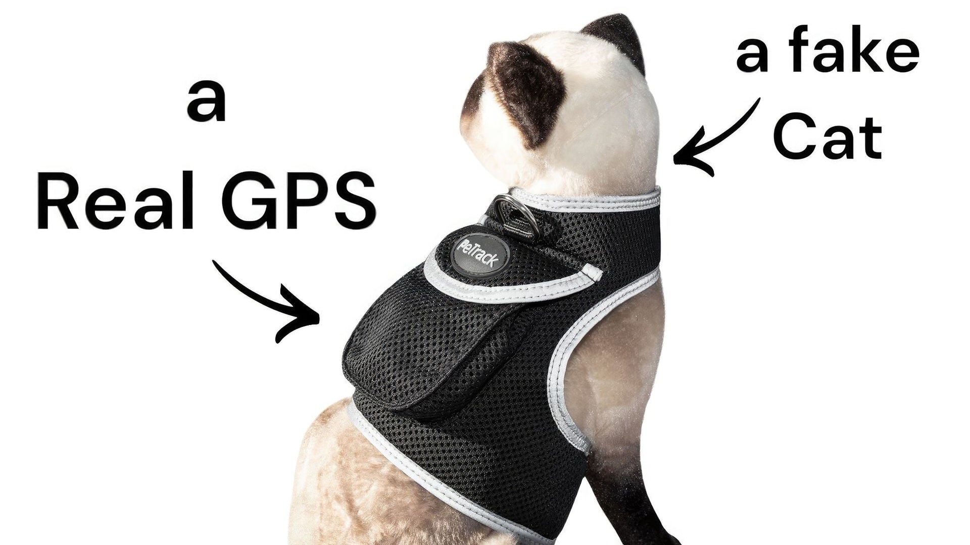 Collar Rechargeable Portable GPS Tracking Devices for Pets GSM Locator Size:XS