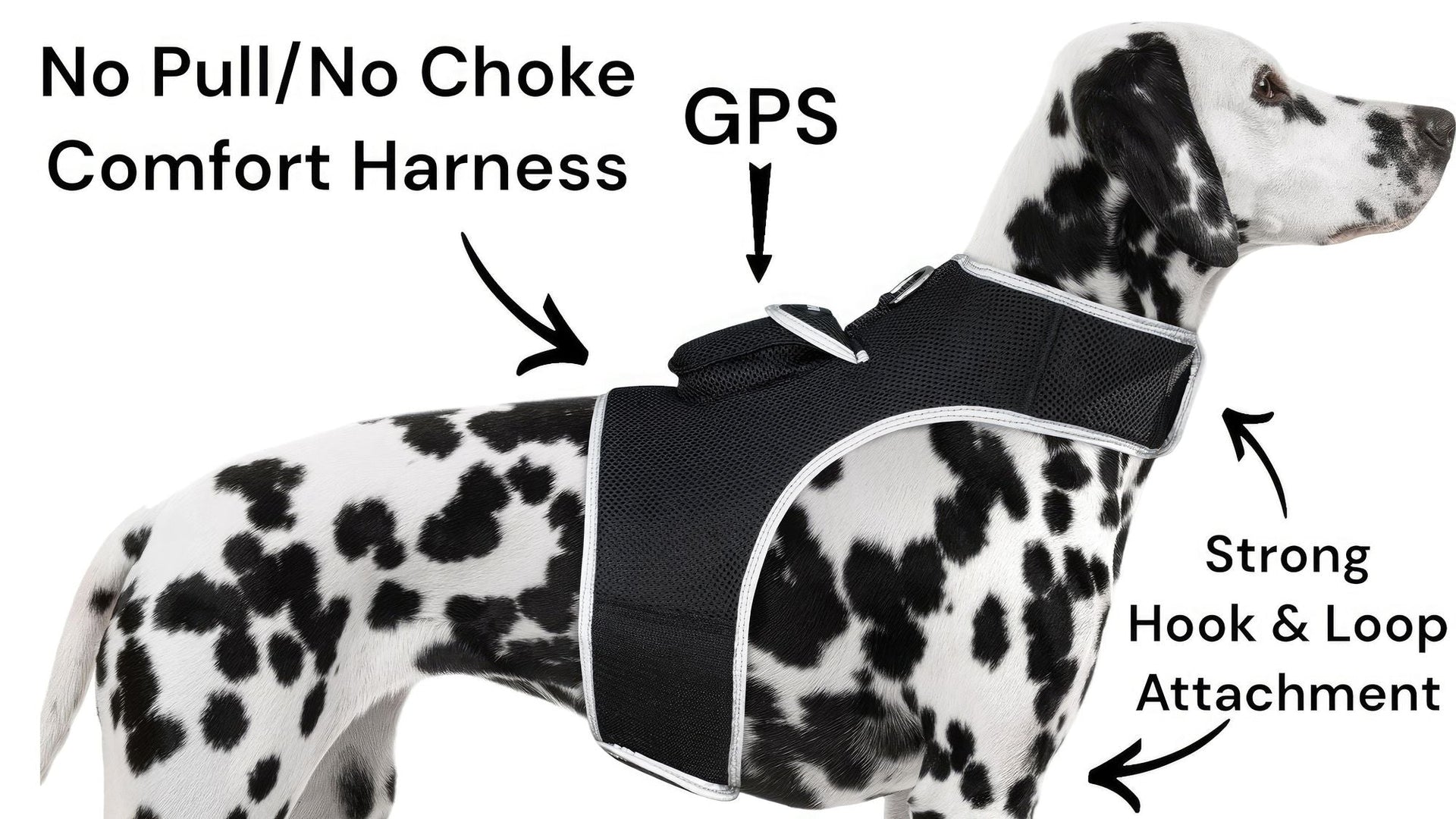 Collar Rechargeable Portable GPS Tracking Devices for Pets GSM Locator Size:XS