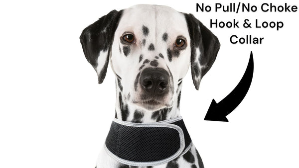 Collar Rechargeable Portable GPS Tracking Devices for Pets GSM Locator Size:XS
