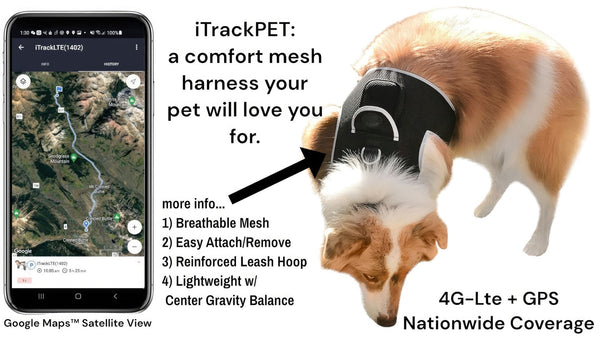 Collar Rechargeable Portable GPS Tracking Devices for Pets GSM Locator Size:XS