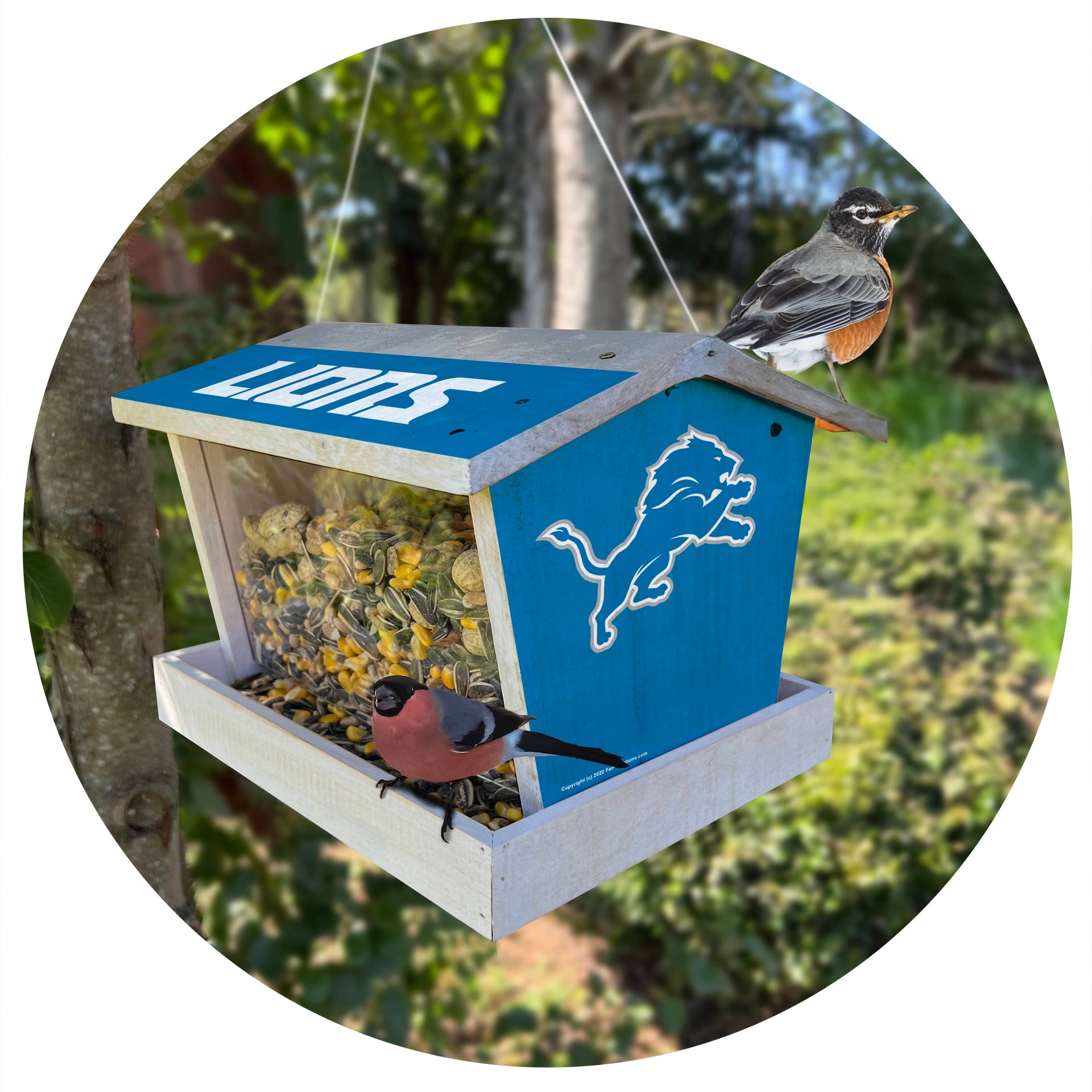 Detroit Lions Bird Feeder - Custom Wood Feeder With Official Logo For Outdoor Use