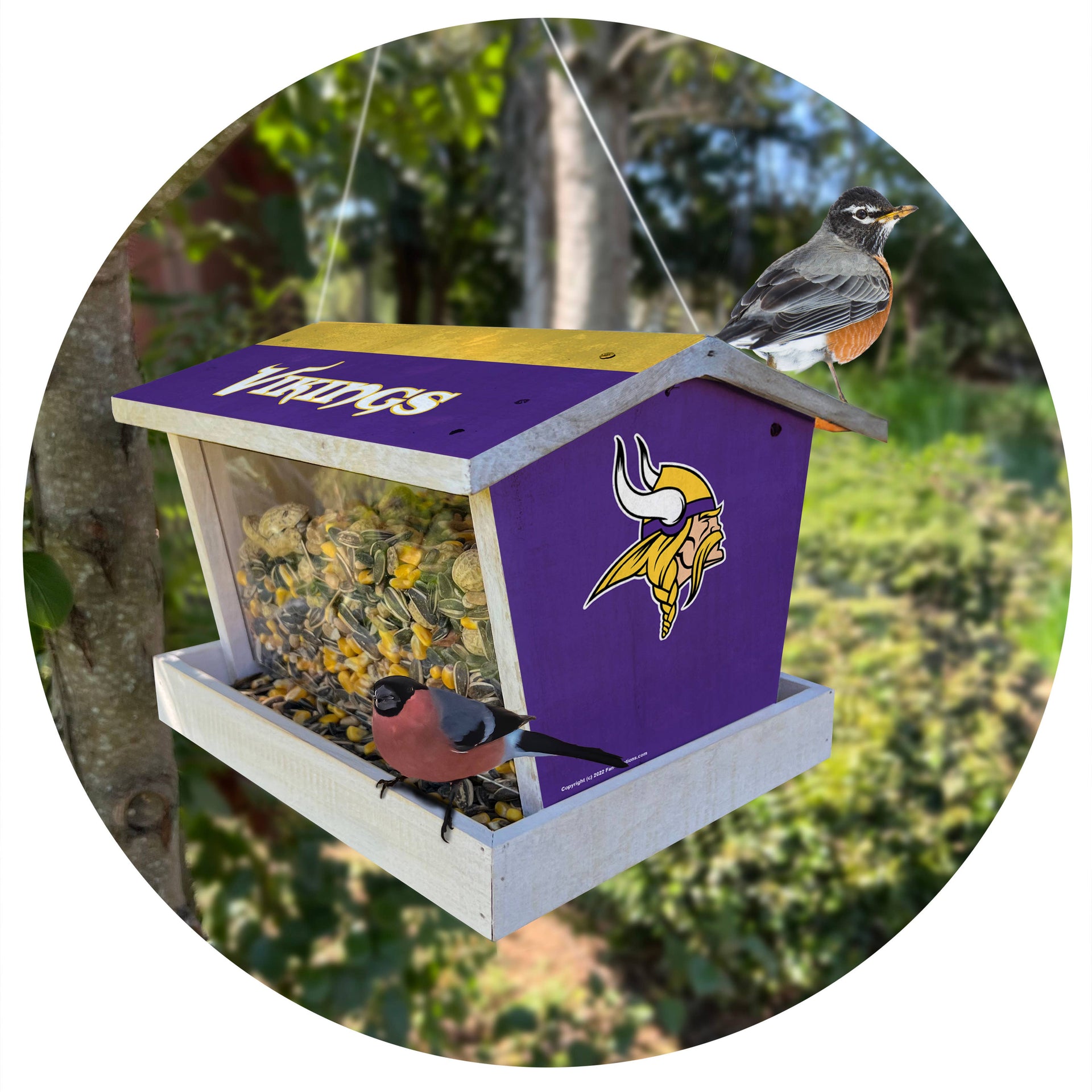 Minnesota Vikings Bird Feeder - Custom Wood Outdoor Feeder with Team Logo