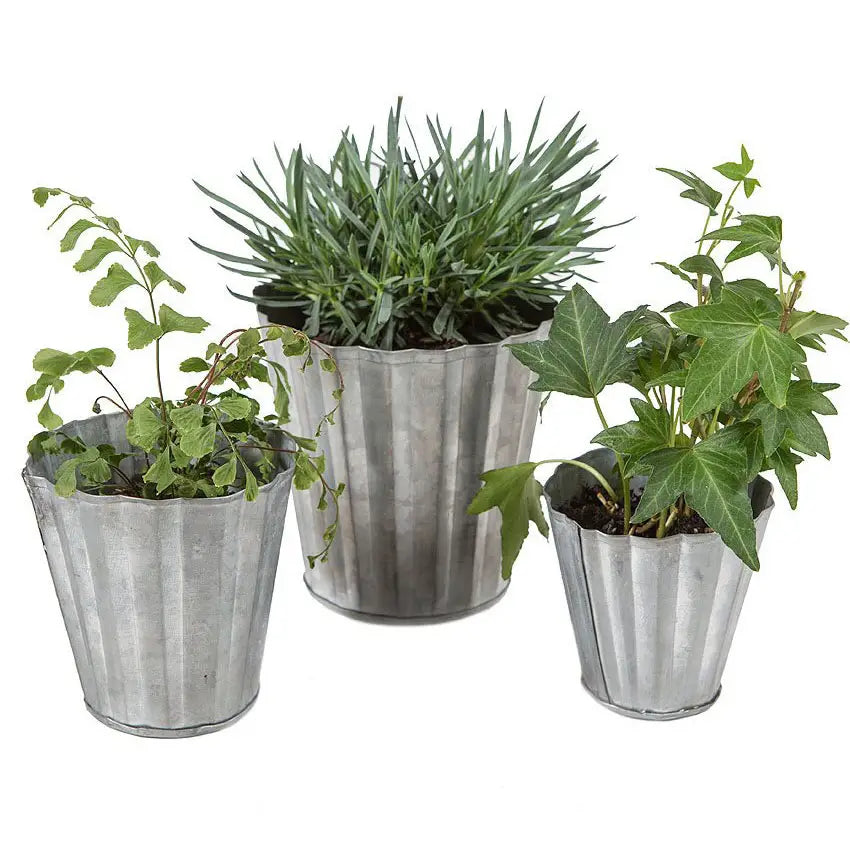 Set of Three Tin Pots