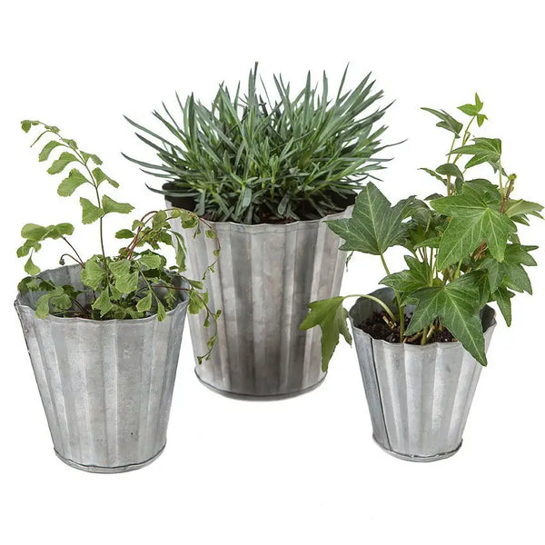 Set of Three Tin Pots