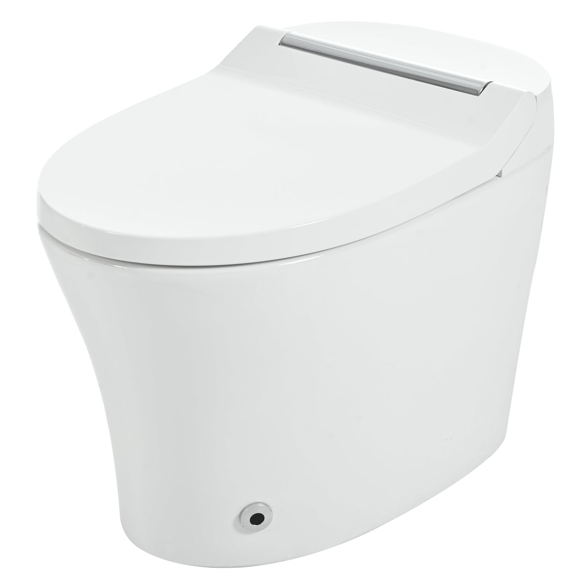Smart Toilet with Built-in Heated Seat