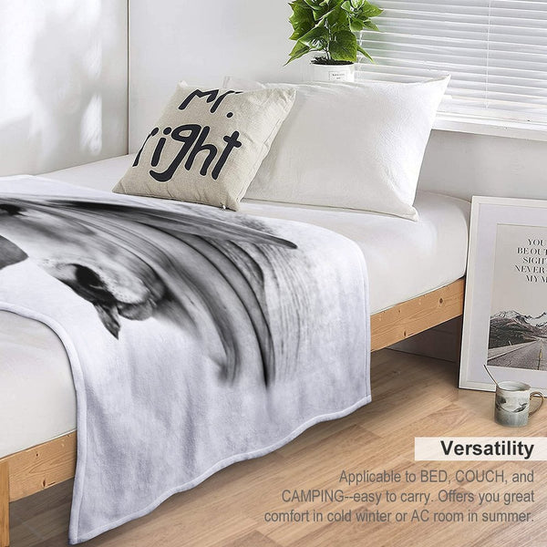 BRAHMAN CALF PORTRAIT, WALL ART AND DESIGNS Compact Throw Blanket