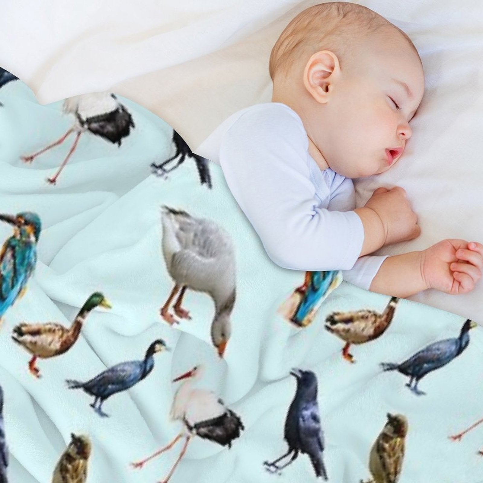 Bird Collection Quick-dry Throw Blanket