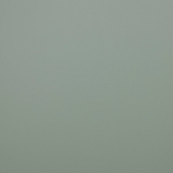 Curry 2 Door Accent Cabinet - Pale Mint Green with Distressed Mirror Doors and Gold Hardware - Gifts for You 'n Me