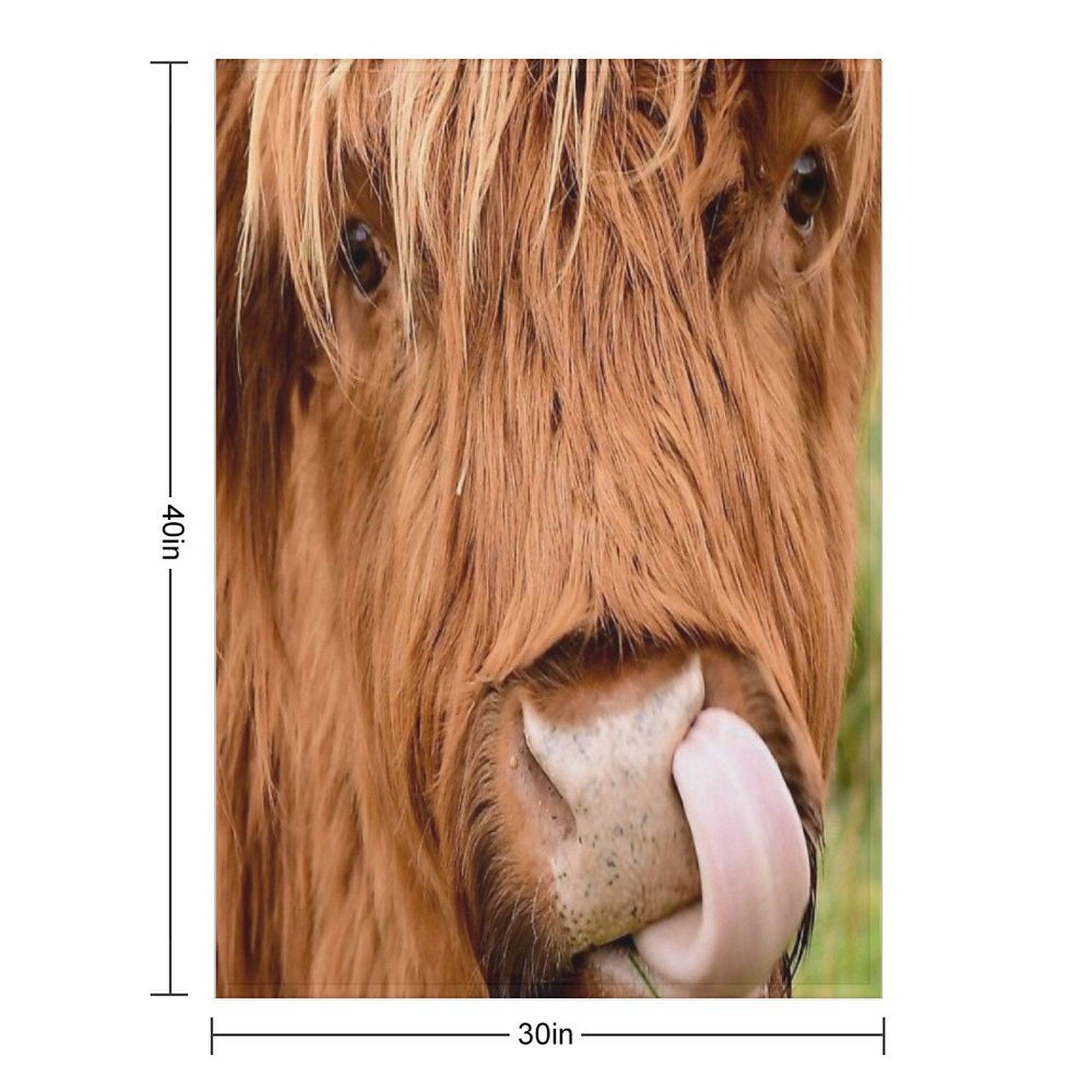 Tasty, The Highland Cow Throw Blanket