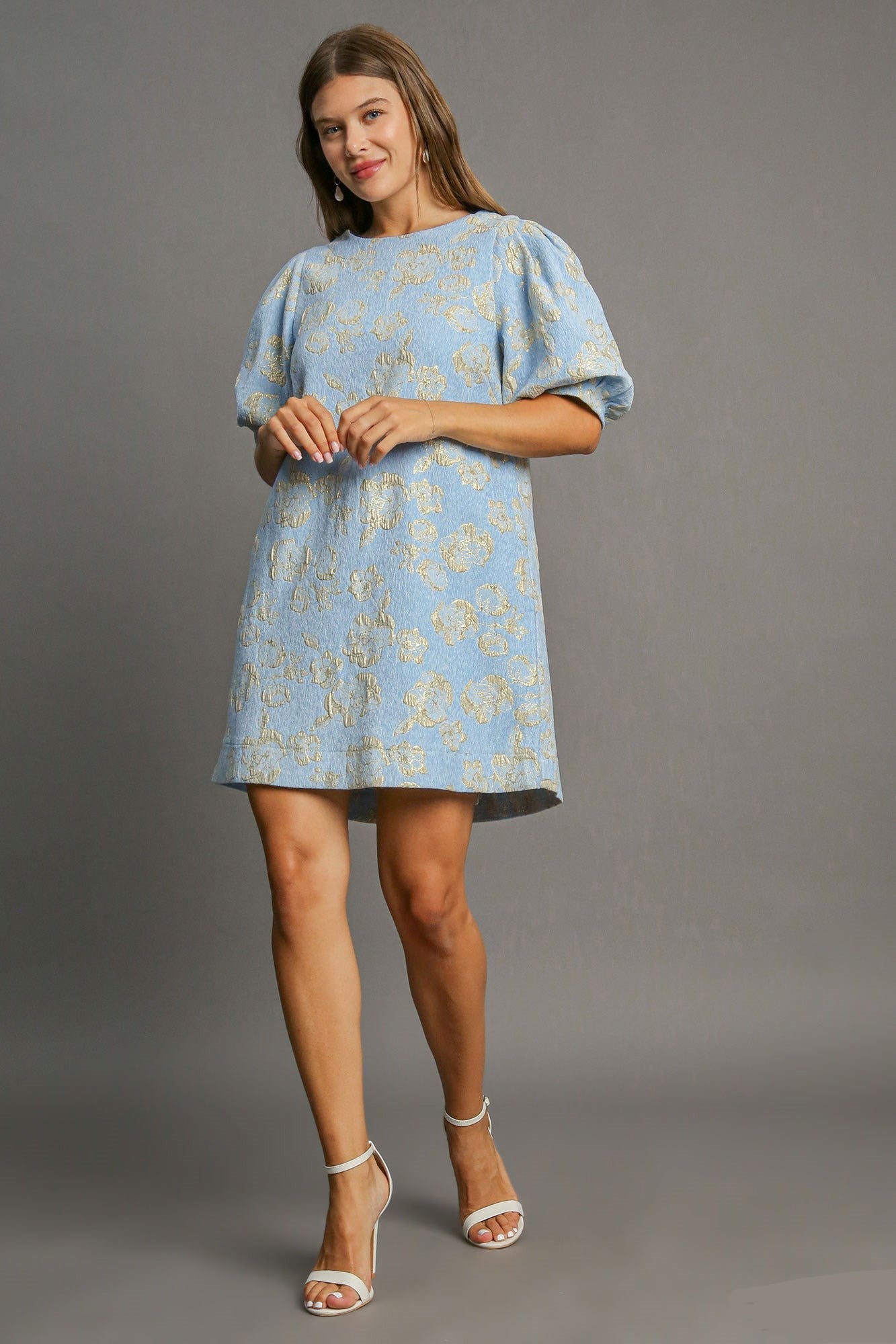Floral Blue Jacquard Puff Sleeve Mini Dress Elegant Vintage-Inspired Dress for Women