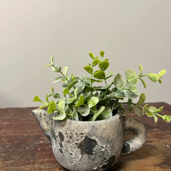 Cement Rustic Teapot Succulent Planter