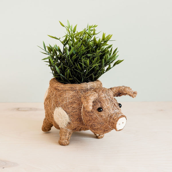 Pig Planter - Coco Coir Pots