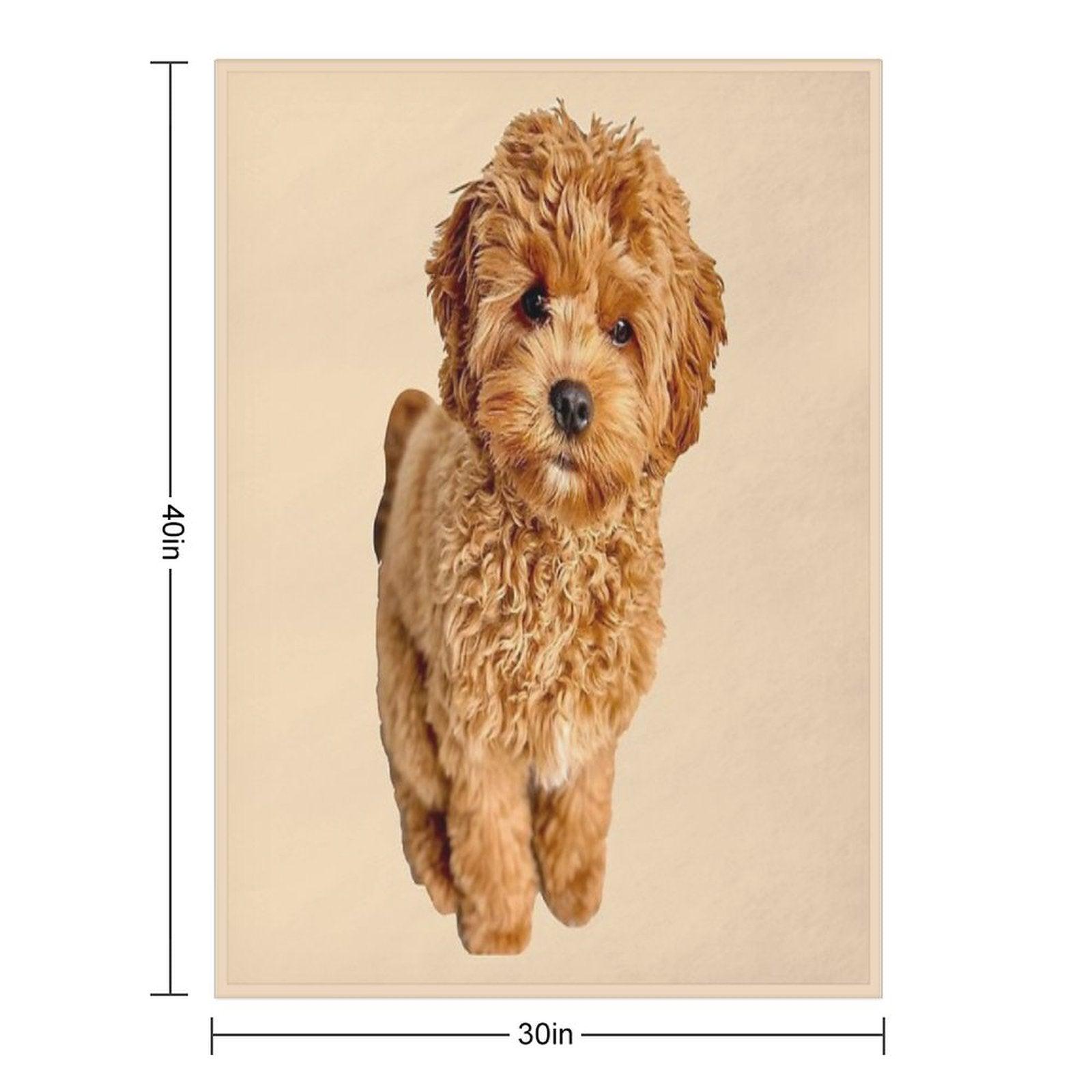 Cavapoo Throw Blanket