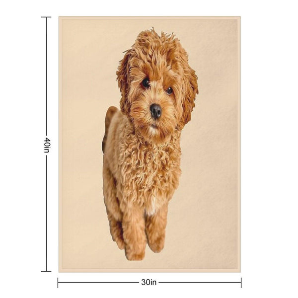 Cavapoo Throw Blanket