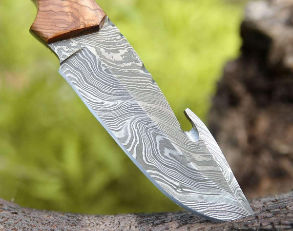 Echelon Damascus Gut Hook Knife with Exotic Olive wood & Turquoise Handle - Gifts for You 'n Me