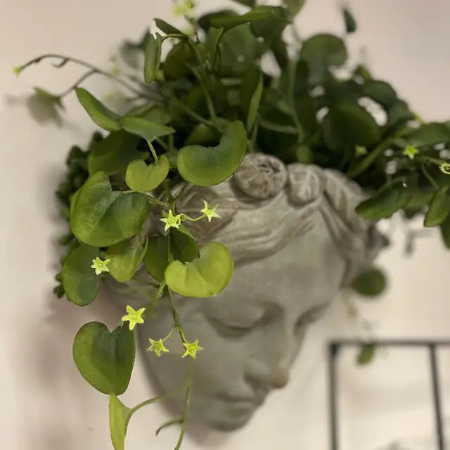 Wall Art Cement Girl   Planter