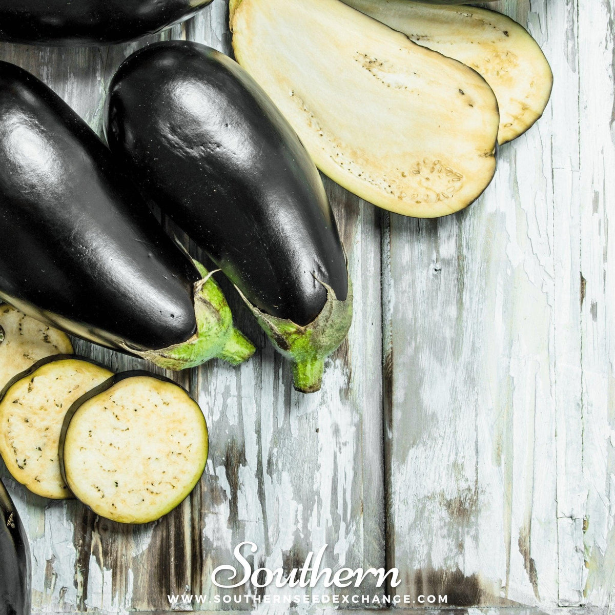 Black Beauty Eggplant – 50 Seeds