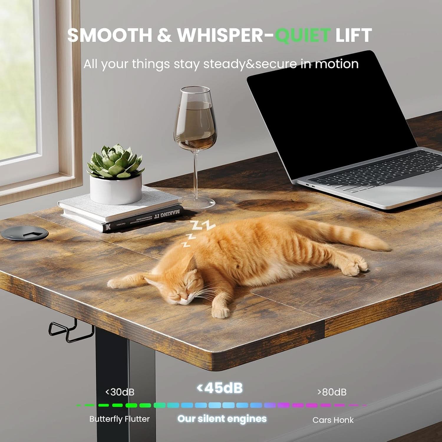 Electric Standing Desk 48 By 24 Inch With 3 Memory Presets
