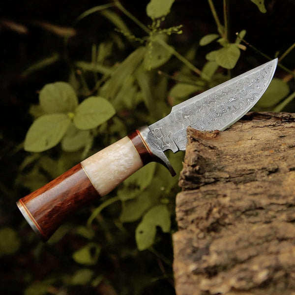 Elite Damascus Hunting Knife with Mother of Pearl & Rose Wood Handle - Gifts for You 'n Me