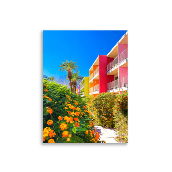 The Palm Way - Wall Art - Poster