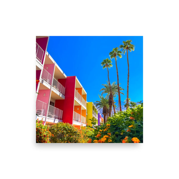 The Other Palm Way - Wall Art - Poster