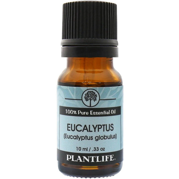 Eucalyptus Essential Oil - Gifts for You 'n Me