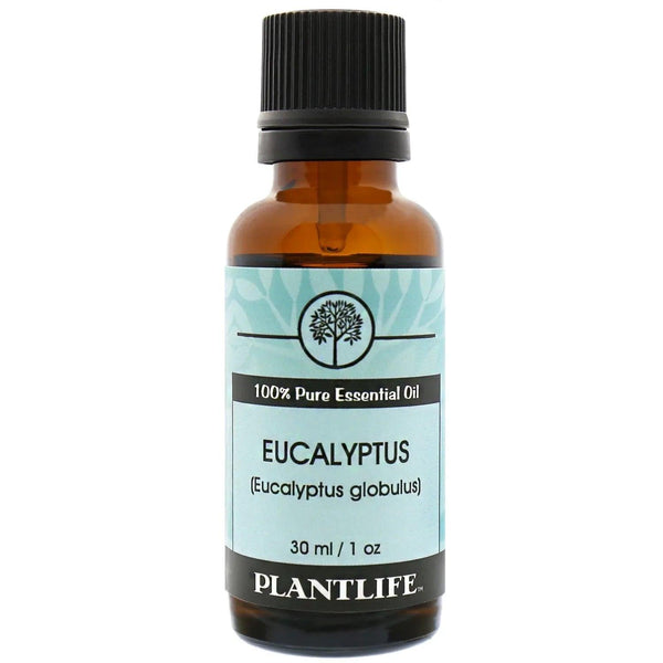 Eucalyptus Essential Oil - Gifts for You 'n Me