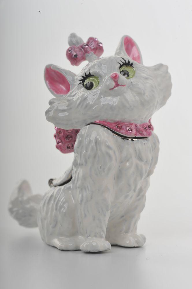 White and Pink Cat