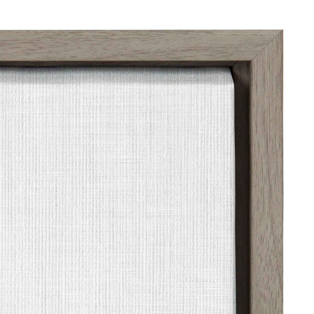 Sylvie Alpaca Portrait Set Framed Canvas By Simon Te