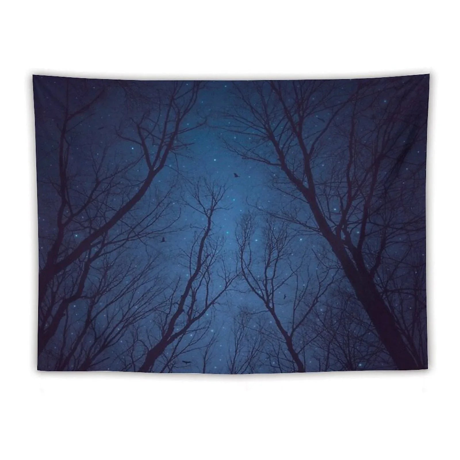 I Have Loved The Stars Too Fondly Tapestry