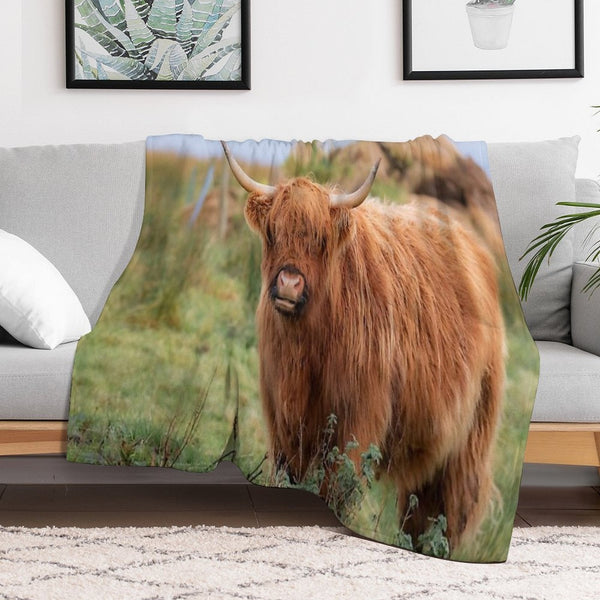 Long Haired Highland Cattle - Highland Cow, Highlander, Heilan Coo - Thurso, The Highlands, Scotland All-season Throw Blanket