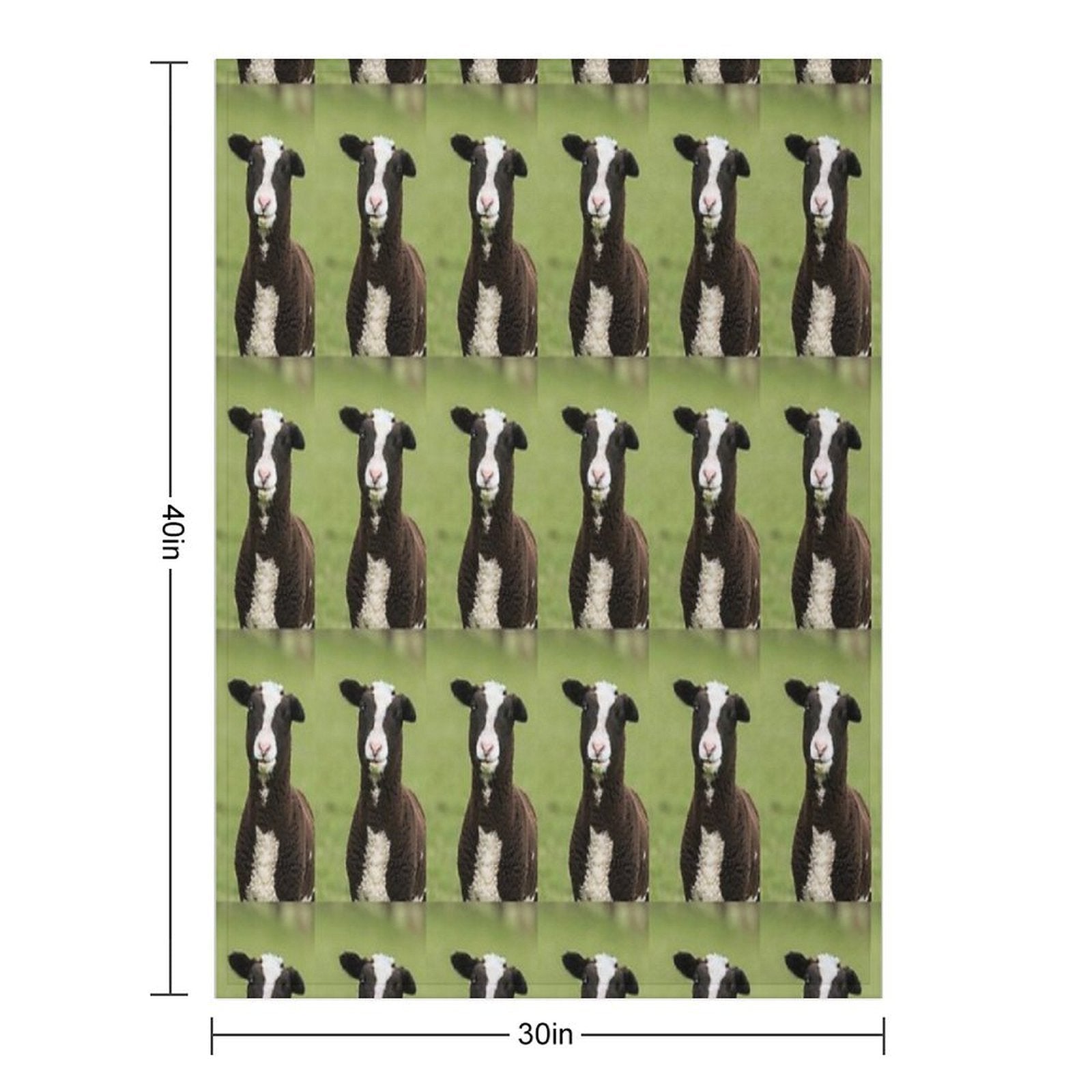 Zwartbles Lamb Anti-pilling Throw Blanket