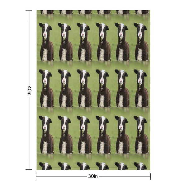 Zwartbles Lamb Anti-pilling Throw Blanket