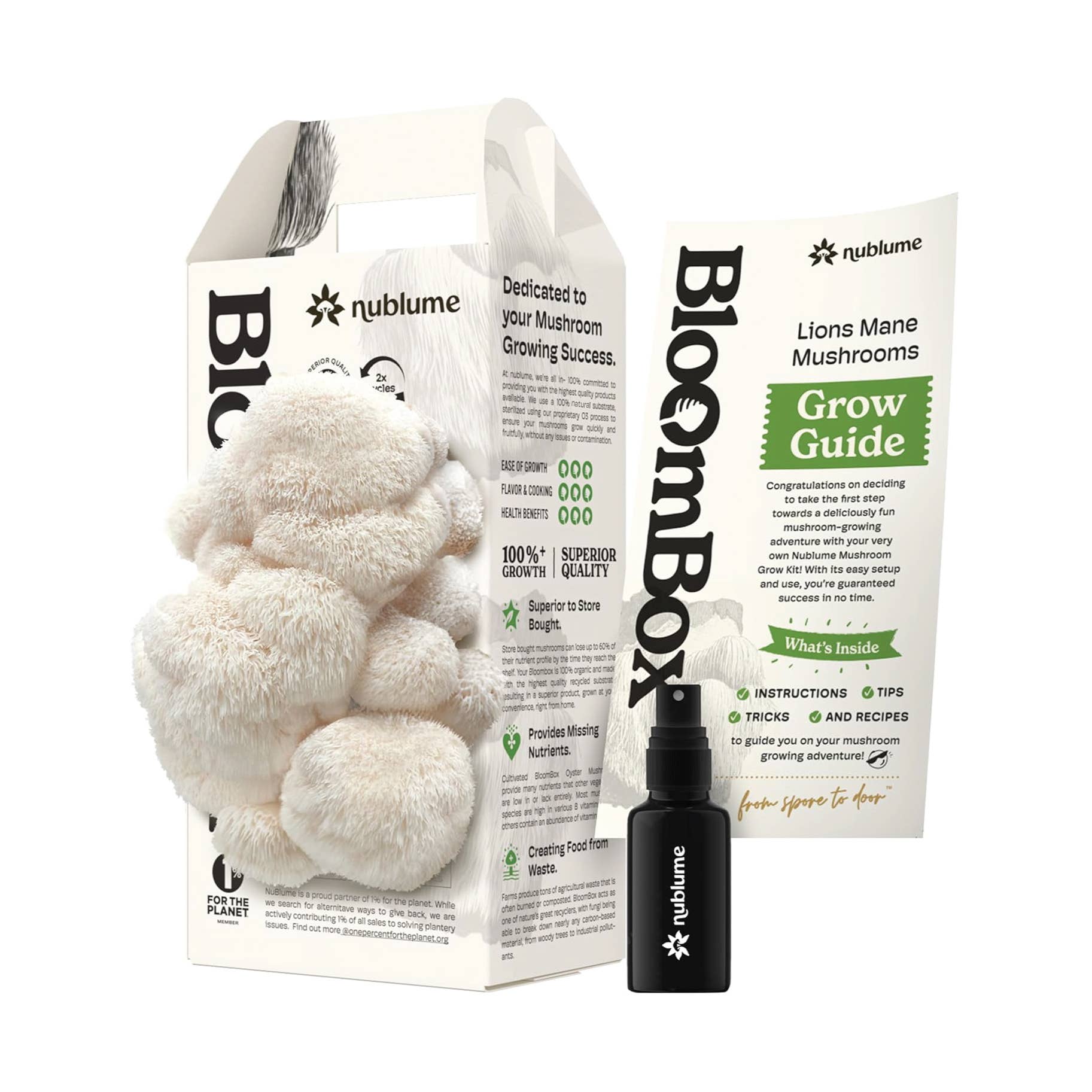 Lion's Mane Mushroom Kit – DIY Indoor Garden Kit | Easy Gourmet Mushroom Growing Gift